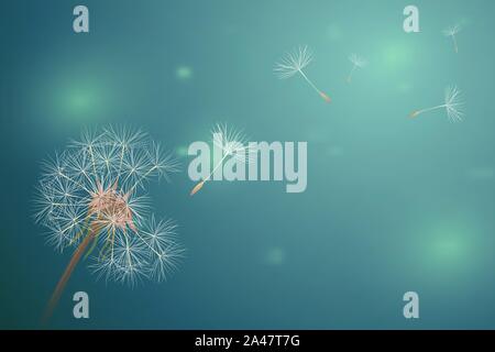 Dandelion in Green horizontal blur backdrop. Bokeh light on summer season illustration. Closeup blowball with flying fluff field. Copy space banner vector concept. Stock Vector