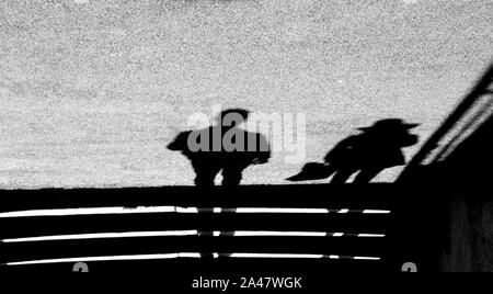 Blurry shadow silhouette of a man and woman at outdoor public stairs in black and white Stock Photo