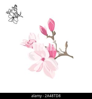 Magnolia-tree flower isolated on white background. Contour silhouette of a flowering branch. Vector illustration Stock Vector