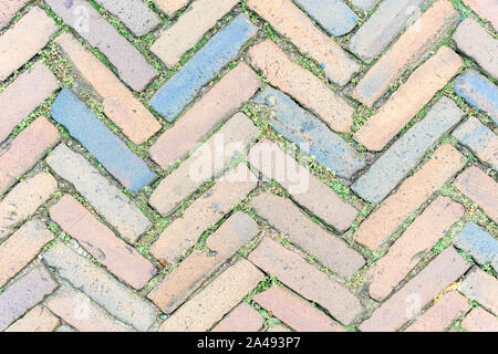 A pavement of multi-colored rectangular bricks with growing grass between them. Stock Photo