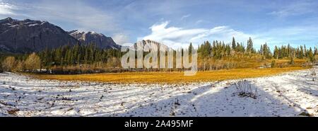 Wide Panoramic Landscape of Snowy Meadows, Aspen Trees and Distant Mountains at Alberta Foothills of Canadian Rockies on a Sunny October Day Stock Photo