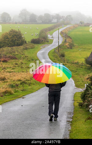 Flintshire, North Wales, UK 13th October 2019. UK Weather:  A deluge of torrential rain will full over the UK with many parts under heavy rain showers and in some places fog. A morning walker with a brightly coloured umbrella walking along a rural lane in Flintshire in torrential rain © DGDImages/AlamyLiveNews Stock Photo