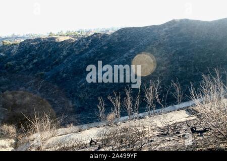 Sylmar, California, USA. 12th Oct, 2019. Porter Ranch Park in the aftermath of the Sattleridge fire. Santa Ana winds caused a brush fire in the northern foothills of the San Fernando Valley on Oct. 11, burning 7,500 acres, at least 31 structures, including many homes, and forcing thousands to flee. Residents are just returning to their homes today, and gaze at the burnt hillsides surrounding them. Credit: Amy Katz/ZUMA Wire/Alamy Live News Stock Photo
