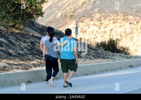 Sylmar, California, USA. 12th Oct, 2019. Stunned Residents assess the damage to their neighborhood at the Porter Ranch Park as they return home as the Sattleridge Fire in the Porter Ranch area of Sylmar, East of Los Angeles, winds down. Santa Ana winds caused a brush fire in the northern foothills of the San Fernando Valley on Oct. 11, burning 7,500 acres, at least 31 structures, including many homes, and forcing thousands to flee. Residents are just returning to their homes today, and gaze at the burnt hillsides surrounding them. Credit: Amy Katz/ZUMA Wire/Alamy Live News Stock Photo
