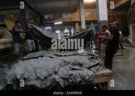 saver tannery workers Dhaka,Bangladesh 2019: Bangladeshi tannery workers process raw leather inside a factory at the Saver tannery area in Dhaka, Bang Stock Photo