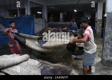 saver tannery workers Dhaka,Bangladesh 2019: Bangladeshi tannery workers process raw leather inside a factory at the Saver tannery area in Dhaka, Bang Stock Photo