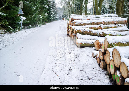 Pile of sawn logs with bark are stacked on the lawn by the road and forest, covered with fresh snow in winter. Stock Photo