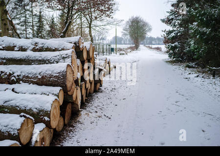 Pile of sawn logs with bark are stacked on the lawn by the road and forest, covered with fresh snow in winter, against the backdrop of the field. Stock Photo