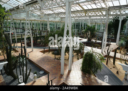 MADRID, SPAIN, 8th August, 2019. Botanical garden in the crystal palace of Arganzuela. Stock Photo