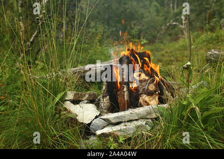 Campfire with several pieces of wood in a stone circle. Stock Photo