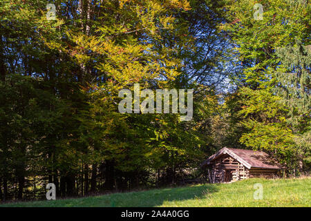 Eine kleine Hütte in den bayerischen Alpen in der Nähe von Ohlstadt. Ein herrlicher Wald rahmt die Hütten ein. Stock Photo