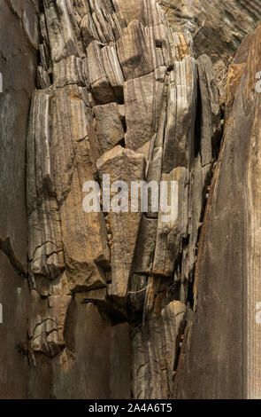 Sedimentary sandstone textured and coloured background Stock Photo