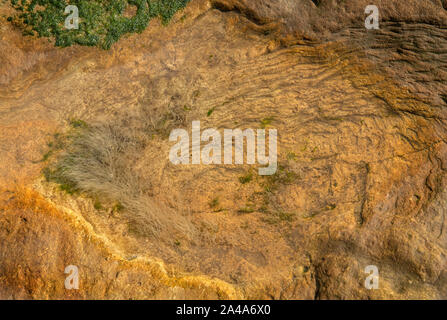 Sedimentary sandstone textured and coloured background Stock Photo