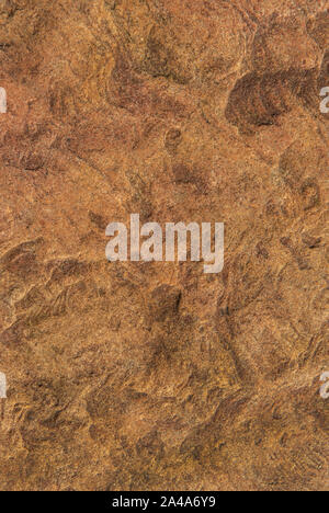 Sedimentary sandstone textured and coloured background Stock Photo