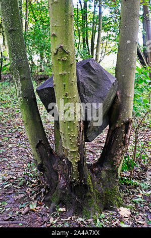 'Stone Coppice' (detail), outdoor artwork by Andy Goldsworthy. Badger Wood, Jupiter Artland, Bonnington House, Wilkieston, West Lothian, Scotland, U.K. Stock Photo