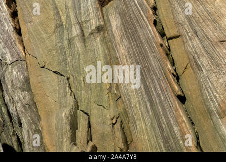 Sedimentary sandstone textured and coloured background Stock Photo