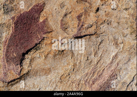 Sedimentary sandstone textured and coloured background Stock Photo