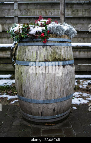 Vintage wooden barrel with various plants growing in it, against the background of the old fence, and falling snowflakes, in the countryside. Close-up Stock Photo