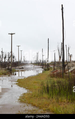 The apocalyptic landscape of Epecuen, once a touristic city, Buenos Aires province, Argentina. Stock Photo