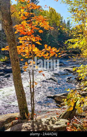 Oxtongue Rapids near in the autumn at Algonquin Provincial Park in Ontario near Huntsville, Canada Stock Photo