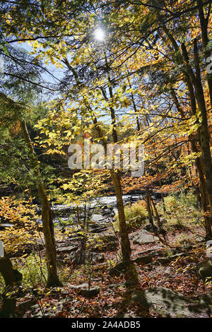 Oxtongue Rapids near in the autumn at Algonquin Provincial Park in Ontario near Huntsville, Canada Stock Photo