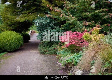 Autumn border on a path in the grounds of St Fagans Castle, The National Museum of History, St Fagans, Cardiff Stock Photo