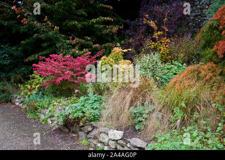 Autumn border on a path in the grounds of St Fagans Castle, The National Museum of History, St Fagans, Cardiff Stock Photo