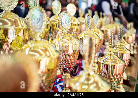 A group of golden, brilliant trophies is waiting for their winners. Close-up. Stock Photo