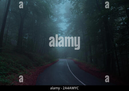Road throught the dark foggy mysterious forest in Transylvania. Stock Photo