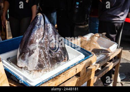 Giant Head Of Tuna Is On The Box Of Ice On Fish Market. Stock Photo