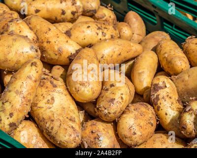 potatoes on the market Stock Photo