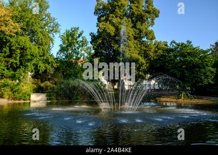 le coq jardin