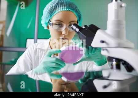 Portrait of young female scientist looking into petri dish while working on research in laboratory Stock Photo