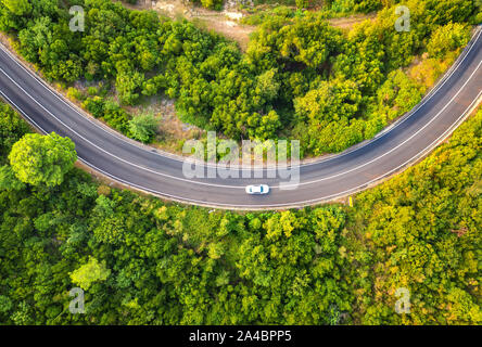 Aerial view of road with car in beautiful forest in summer Stock Photo