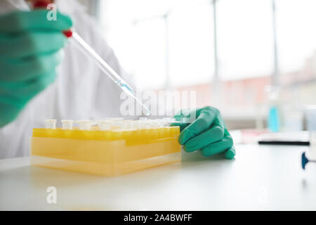 Close up of female scientist preparing test samples using dropper while working in medical laboratory, copy space Stock Photo