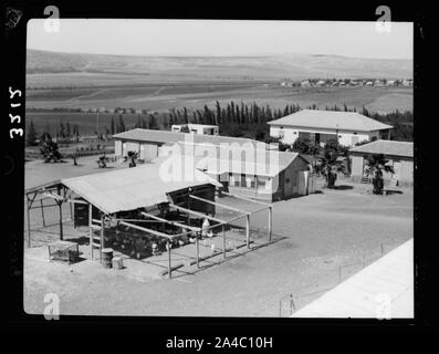 The Keren Hayesod. Agricultural Colonies on Plain of Esdraelon The Emek