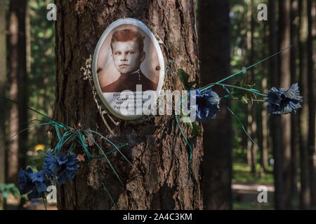 Photograph of one of the victims of Bolshevik political repressions installed by his relatives at the Levashovo Memorial Cemetery in the forest next to Levashovo railway station near Saint Petersburg, Russia. The forest became the mass burial place of the people executed during the Great Purge by the Soviet secret police NKVD, later known as the KGB. There were at least 19,000 victims of political repressions buried here from 1937 to 1954. According to other sources, about 45,000 people could be buried at at the Levashovo Memorial Cemetery in unmarked graves. Stock Photo