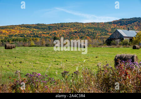 farm with hay bales and fall colors in the North country NY Stock Photo