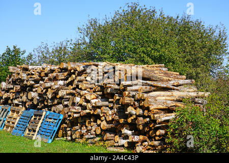 Stacks of chopped wood logs outside Stock Photo