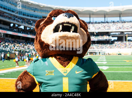 Waco, Texas, USA. 12th Oct, 2019. Baylor Bears mascot before the 1st half of the NCAA Football game between Texas Tech Red Raiders and the Baylor Bears at McLane Stadium in Waco, Texas. Matthew Lynch/CSM/Alamy Live News Stock Photo