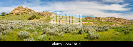 A panoramic view from the scenic drive at the North Unit of Theodore Roosevelt National Park in western North Dakota. Stock Photo