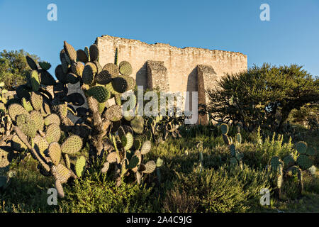 An abandoned ruin in the former Santa Brigida Hacienda in the ghost town of Mineral de Pozos, Guanajuato, Mexico. The town, once a major silver mining center was abandoned and left to ruin but has slowly comeback to life as a bohemian arts community. Stock Photo