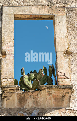 Ruins of an old colonial building with cactus growing in on the window ledge in the ghost town of Mineral de Pozos, Guanajuato, Mexico. The town, once a major silver mining center was abandoned and left to ruin but has slowly comeback to life as a bohemian arts community. Stock Photo