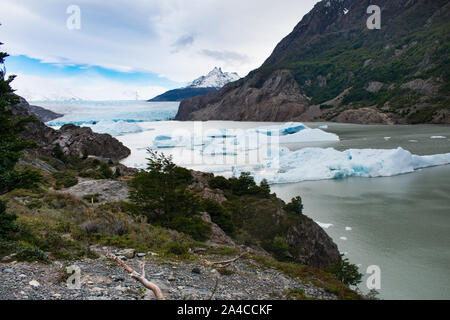 Glacier Grey, Torres del Paine National Park, Chile. Hikers looking out on glaicer field Stock Photo