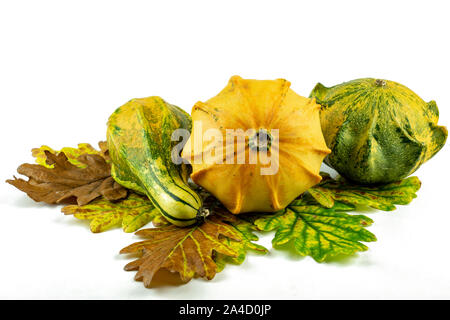 decoration pumpkins in a row with autumn leaves on white isolated background Stock Photo
