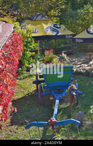 Colorful painted farm wagon full of flowers. Lisinski raj, Beljanica, Serbia,  Europe Stock Photo