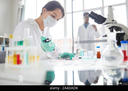 Side view portrait of young woman working in laboratory preparing test samples for medical research, copy space Stock Photo