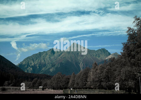 Alpes, tree and rocks infrared. Stock Photo