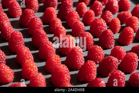 Pattern made of fresh raspberry. Fresh fruits. Flat lay, top view, square. Stock Photo