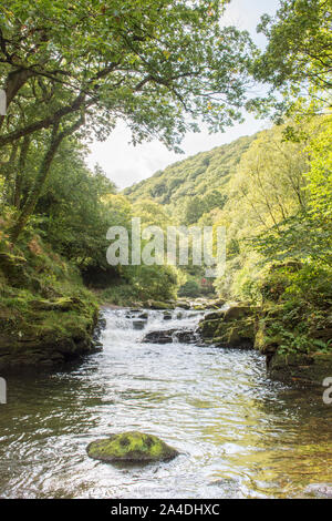 The East Lyn river flowing through woodland just below Watersmeet, Lynmouth, Devon, UK. September, Exmoor, Stock Photo